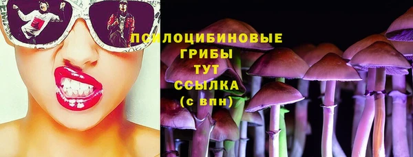 винт Абинск