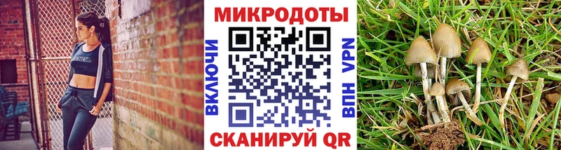 mega рабочий сайт  купить  сайты  Калач  Галлюциногенные грибы Psilocybe 